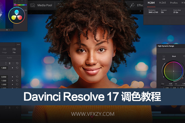 达芬奇教程-Davinci Resolve Studio视频调色教程（中文字幕）其它教程