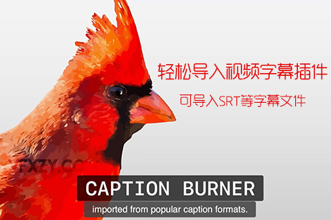 FCPX插件-快速导入常用字幕文件工具 Caption BurnerFCPX插件