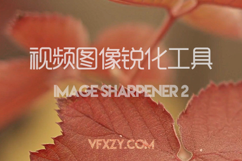 FCPX插件-视频图像锐化工具画面清晰度增强插件 Image Sharpener 2FCPX插件