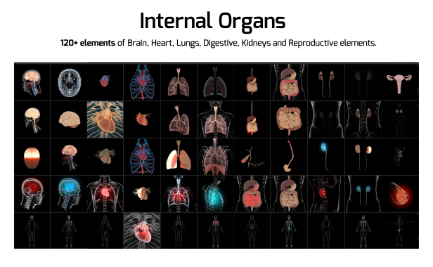 AE脚本-700种医疗建造师人体骨骼器官DNA细胞动画元素AtomX版 Medical ConstructorAE脚本、精品推荐