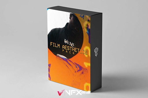 4K视频素材-35个复古电影胶片噪点颗粒叠加素材 Film Aesthetics Pack精品推荐、视频素材