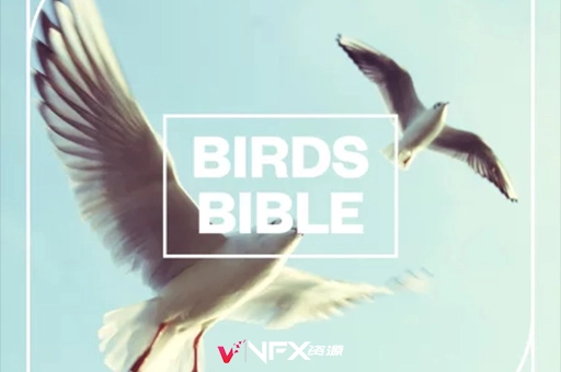 77个自然野生动物鸟叫鸡叫音效素材 Blastwave FX Birds Bible精品推荐、素材、音效素材