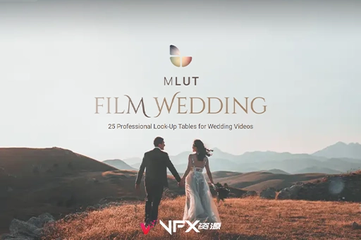 LUTs预设-专业婚礼视频调色预设 MotionVFX mLUT Film WeddingLUT预设、预设