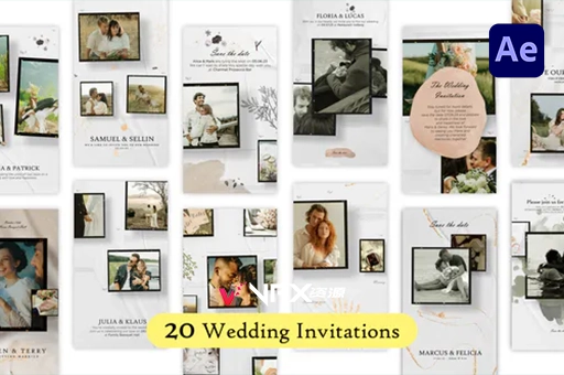 20个竖屏浪漫婚礼视频请柬邀请函动画AE模板 20 Glamorous Wedding Invitation Reels and StoriesAE模板、模板
