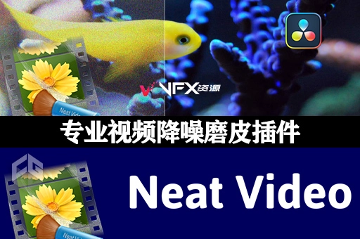 达芬奇插件-专业视频画面降噪磨皮插件 Neat Video Pro v5.6.0 WinVST插件、达芬奇插件