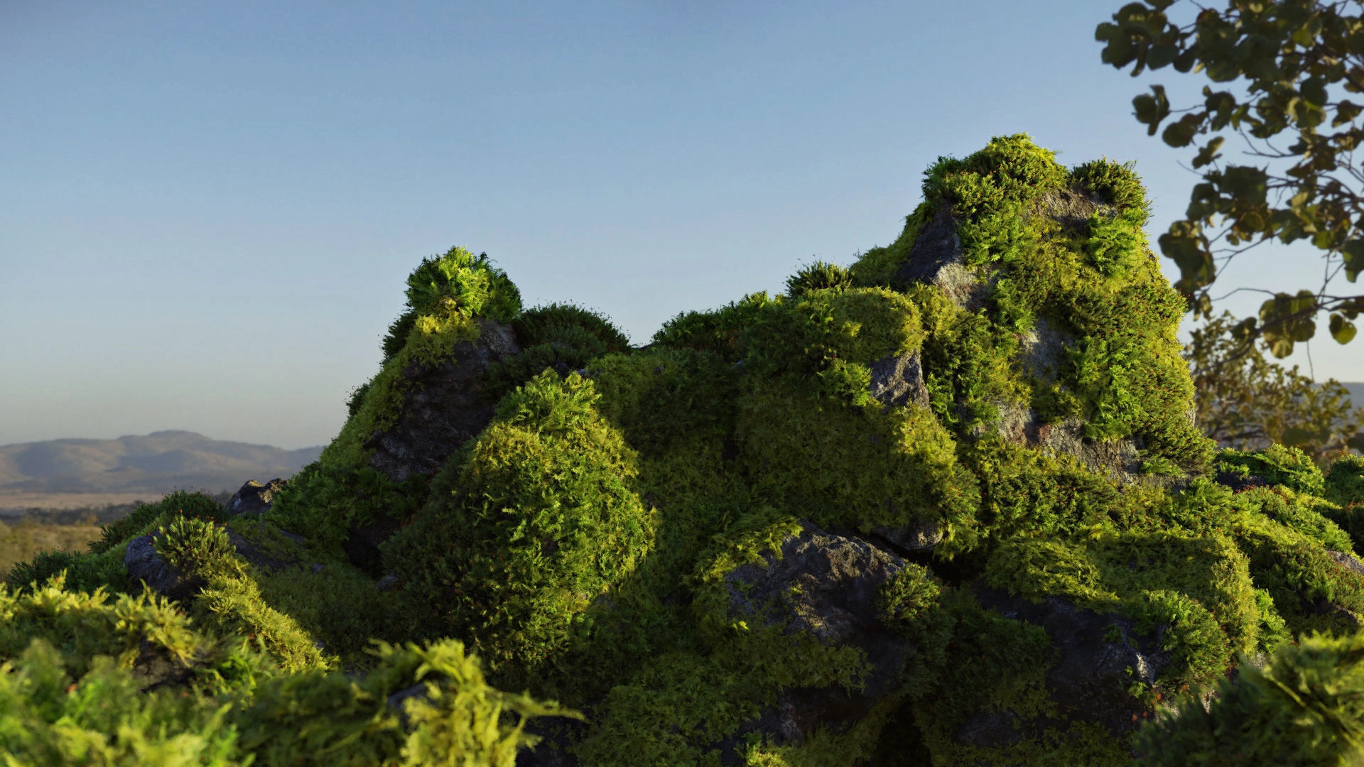 3D模型-苔藓石头资产预设 Moss 7 Species and Stones – PBR Asset Kit3D模型、素材 3D模型-苔藓石头资产预设 Moss 7 Species and Stones – PBR Asset Kit3D模型、素材