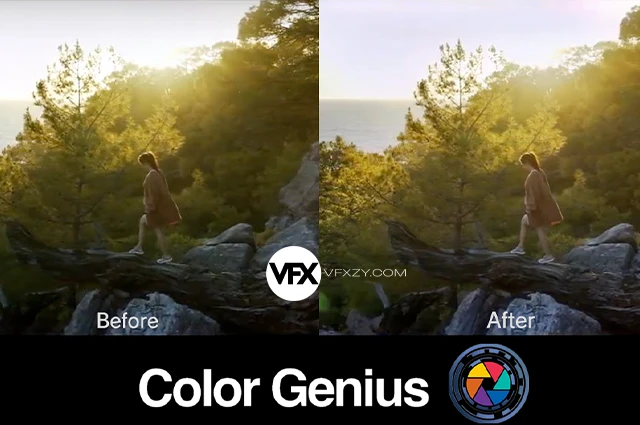 【中文汉化】AE/PR/达芬奇智能色彩校正插件 REVisionFX Color Genius Plus 2025.11 CE Win