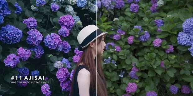 6套AUXOUT最新日常旅拍视频调色调色预设合集