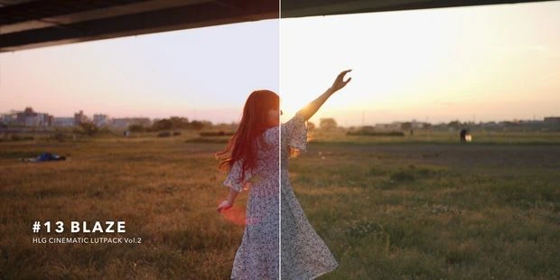 6套AUXOUT最新日常旅拍视频调色调色预设合集