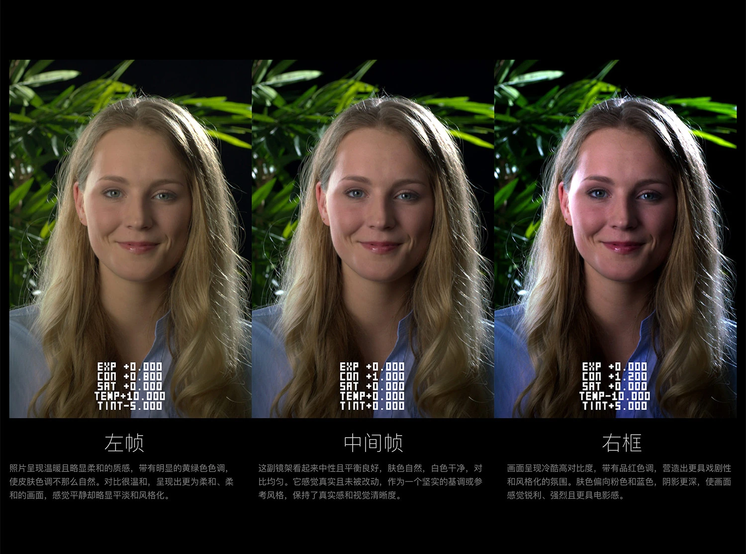 达芬奇调色对比测试条DCTL节点预设 Mononodes – Test Strip DCTLs V3.0 11080318222.jpg