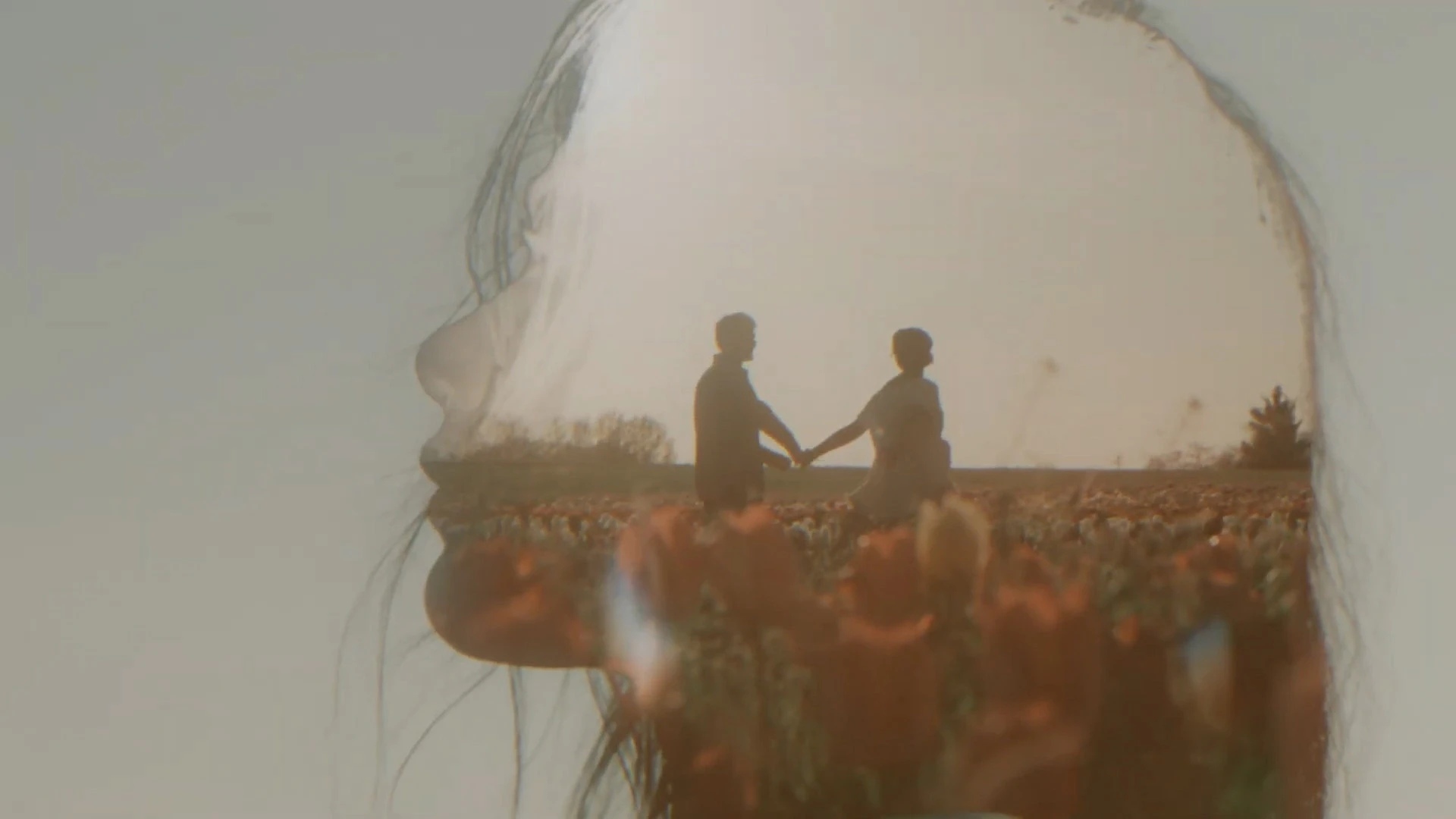 中文汉化-达芬奇婚礼视频特效文字标题字幕叠加转场预设 MotionVFX – mWedding 2 for DaVinci Resolve