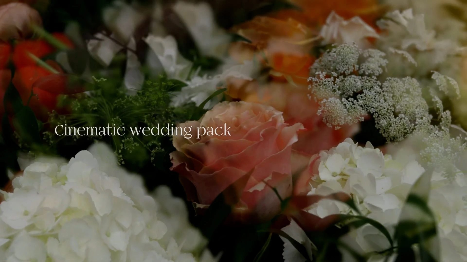 中文汉化-达芬奇婚礼视频特效文字标题字幕叠加转场预设 MotionVFX – mWedding 2 for DaVinci Resolve