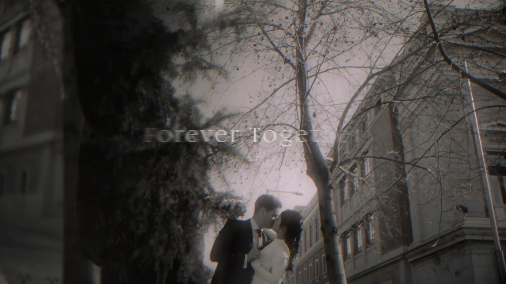 中文汉化-达芬奇婚礼视频特效文字标题字幕叠加转场预设 MotionVFX – mWedding 2 for DaVinci Resolve