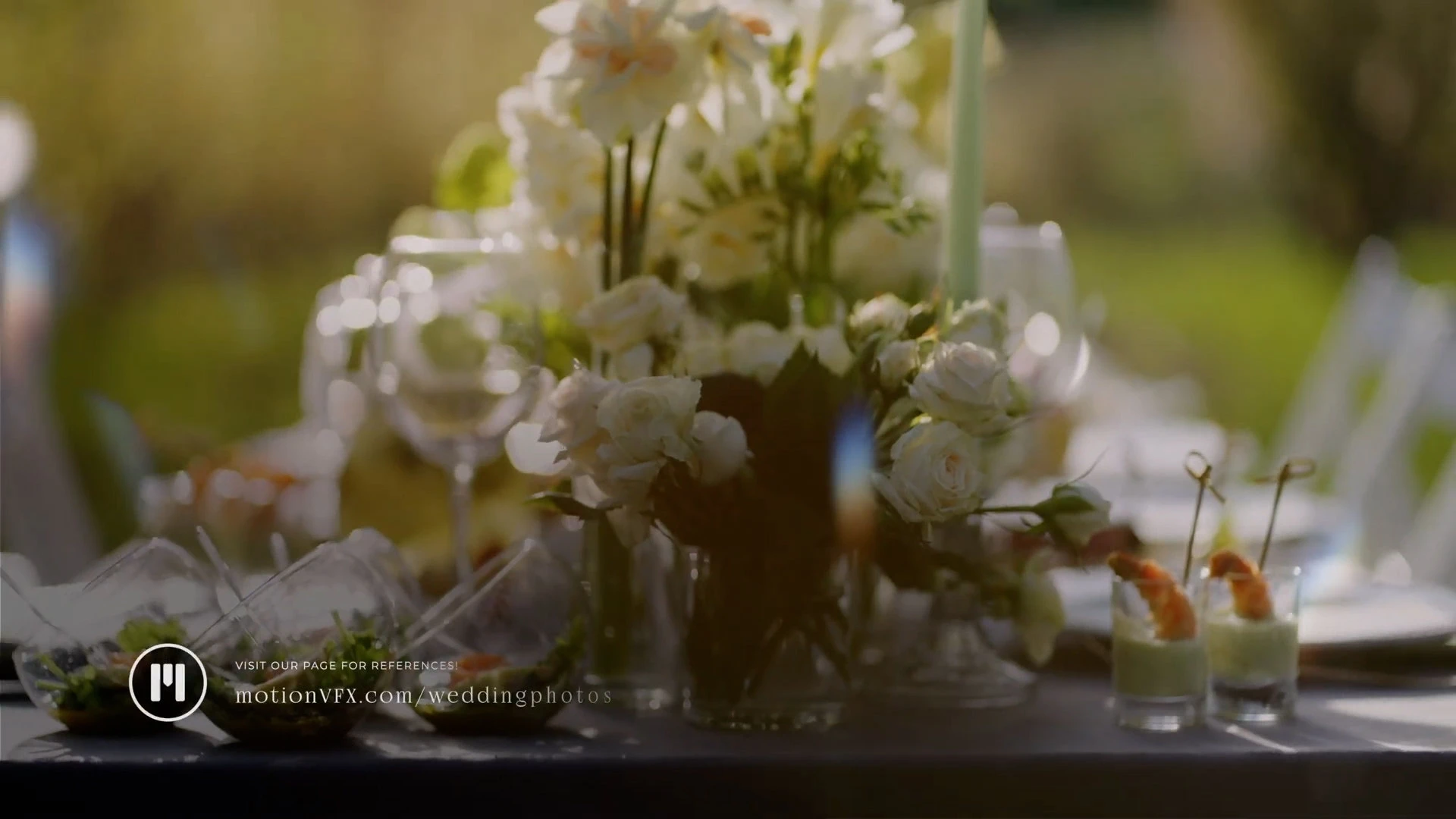 中文汉化-达芬奇婚礼视频特效文字标题字幕叠加转场预设 MotionVFX – mWedding 2 for DaVinci Resolve