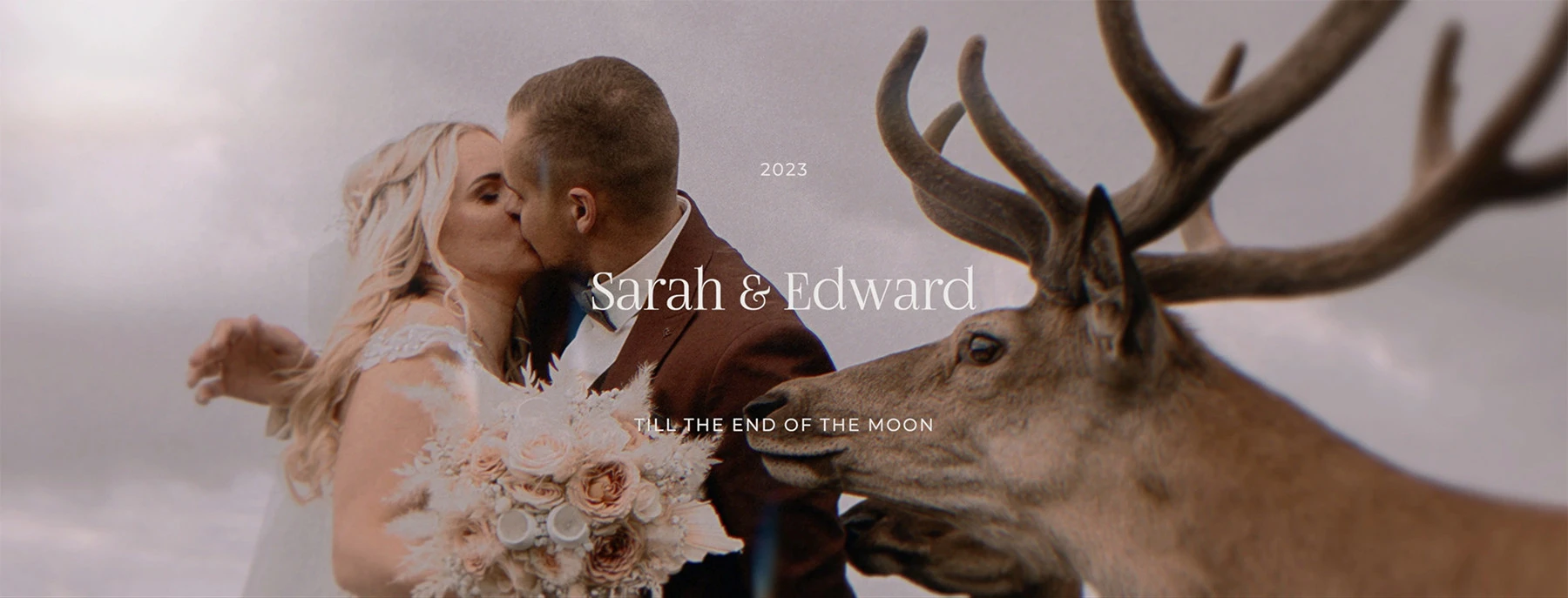 中文汉化-达芬奇婚礼视频特效文字标题字幕叠加转场预设 MotionVFX – mWedding 2 for DaVinci Resolve