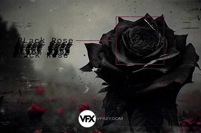 【中英文字幕】三套AE动态图形新手入门基础教程